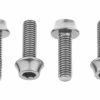 Lot De 4 Vis De Porte-Bidon Wolf Tooth Water Bottle Cage Bolts M5x15 Mm Argent