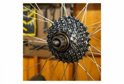 Démonte Roue Libre Multi-Vitesse Pedro's 12-Spline X 23 Mm -Entretien Réparation Route Soldes unnamed file 3646