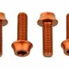 Lot De 4 Vis De Porte-Bidon Wolf Tooth Water Bottle Cage Bolts M5x15 Mm Orange 1 Lot De 4 Vis De Porte-Bidon Wolf Tooth Water Bottle Cage Bolts M5x15 Mm Orange -Entretien Réparation Route Soldes unnamed file 3933
